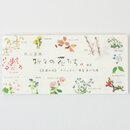 Notizblock Blumenkalender